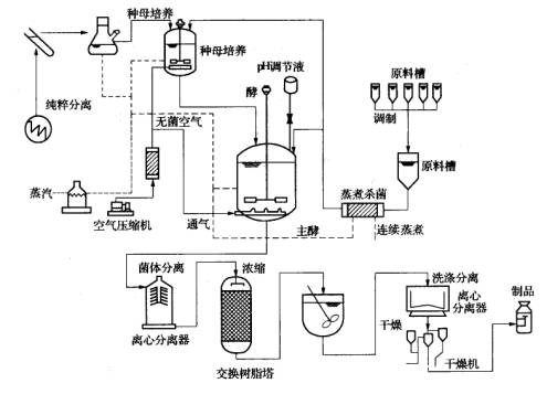 生物发酵罐工艺流程图